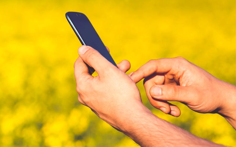 Códex: app ajuda o produtor a entender o Código Florestal Brasileiro