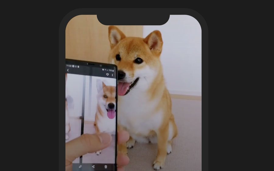 Perfis mais legais pra você seguir no TikTok