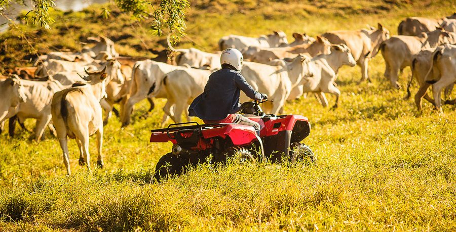 Honda TXR 420 FourTrax boa para o trabalho e para a diversão