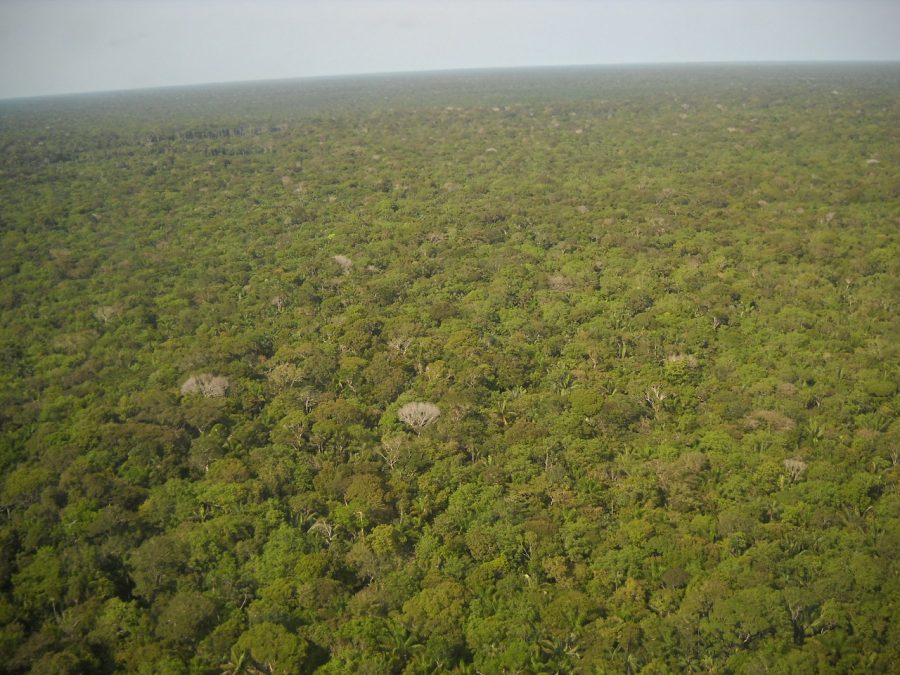 Amazônia