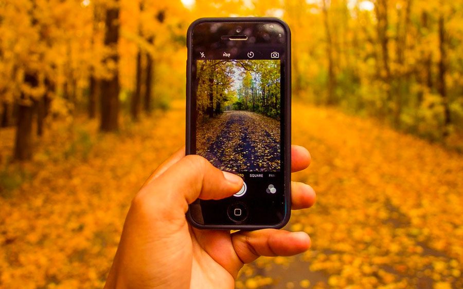 Como recuperar fotos excluídas no Android