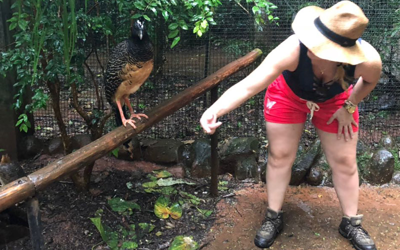 Parque das Aves, transcendendo às penas e nuvens
