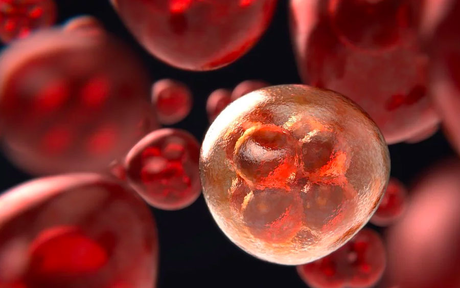 O uso das nanopartículas pode mudar a maneira como tratamos o câncer