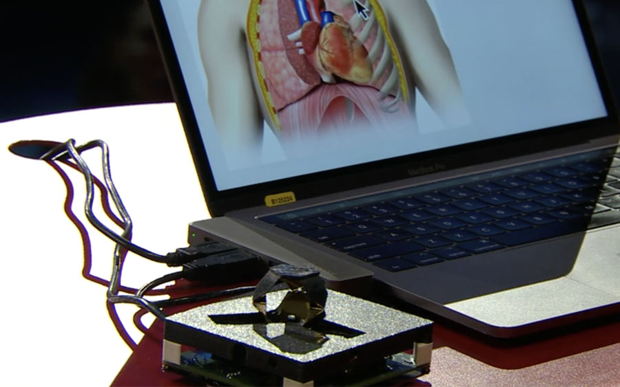 Design do origami pode determinar futuro da robótica