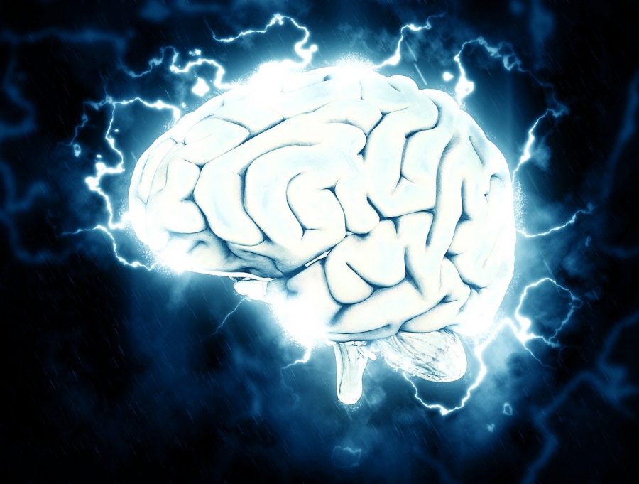 Lesões no cérebro podem revelar sobre a conexão entre tecido cerebral e a mente