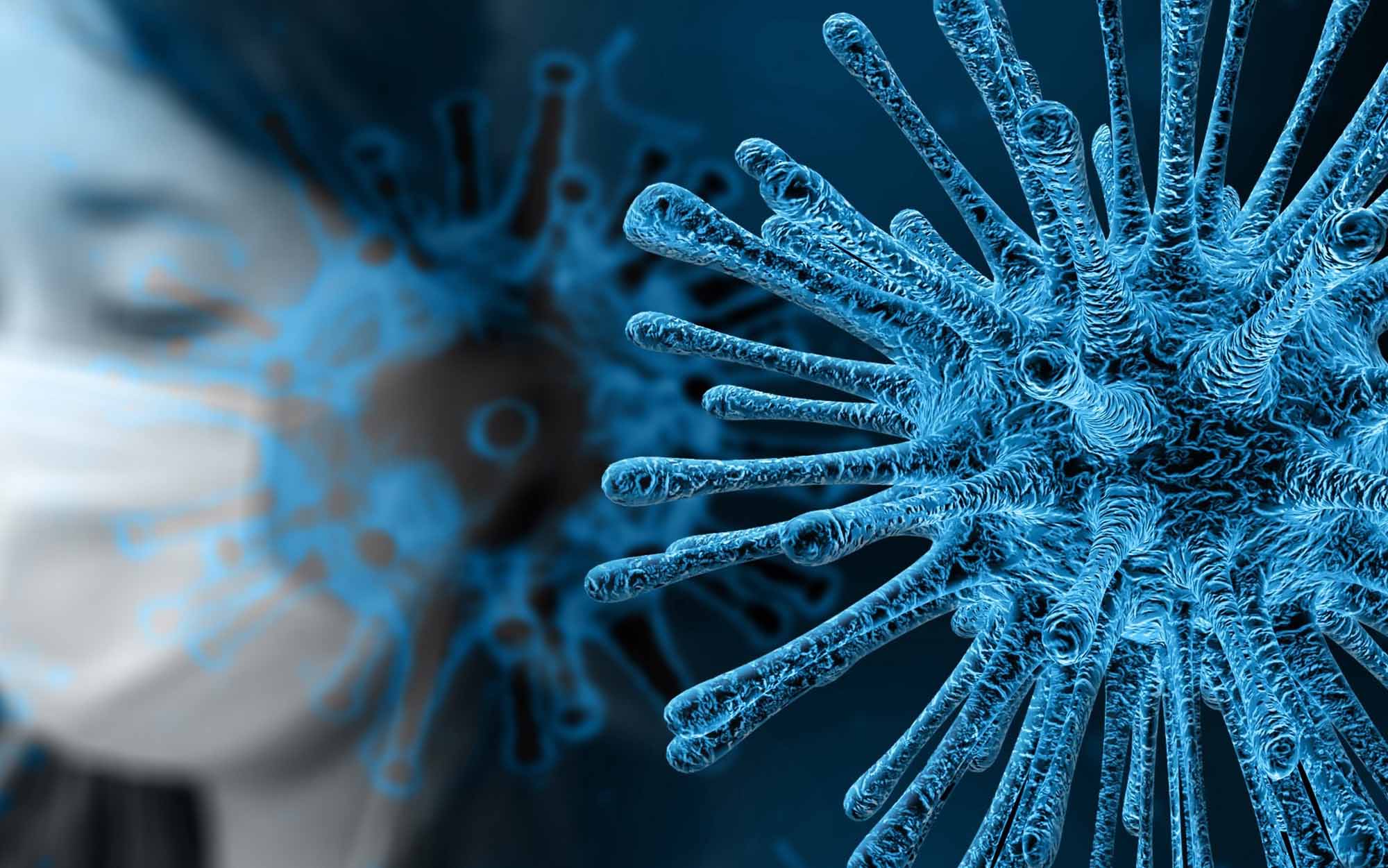 O Coronavírus da Síndrome Respiratória Aguda Grave 2 (SARS-CoV-2), como denotado pela Organização Mundial da Saúde (OMS), anteriormente denominado novo coronavírus de 2019 (2019-nCoV), é um coronavírus, relatado pela primeira vez em 2019 e sequenciado geneticamente após testes de ácido nucleico em uma amostra de paciente positiva em um paciente com pneumonia durante o surto de pneumonia em Wuhan de 2019–2020. Esse surto já infectou mais de 78 000 pessoas, matando mais de 2 400 pessoas. Segundo a OMS, pode ter havido transmissão limitada de humano para humano deste coronavírus nas famílias de pacientes, e um surto mais amplo é possível. No momento, nenhum tratamento específico para o novo vírus está disponível, mas os antivirais existentes podem ser "propostos".