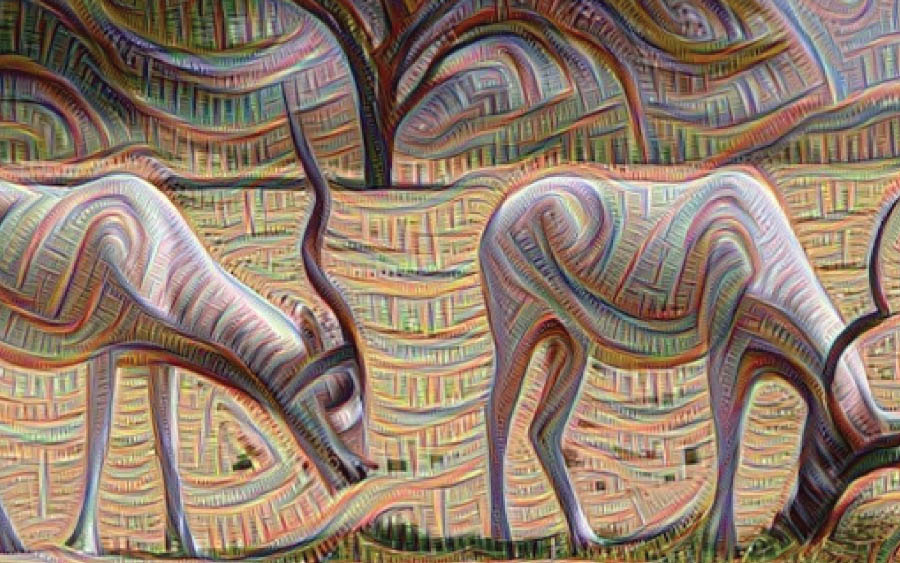 Por dentro do X, o lado secreto da Google