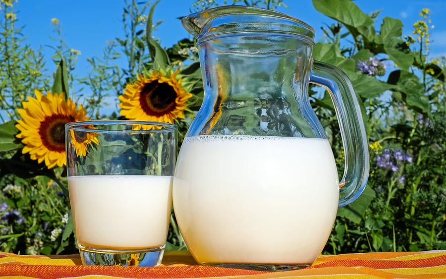 Qual o melhor tipo de leite: integral, desnatado ou vegetal?