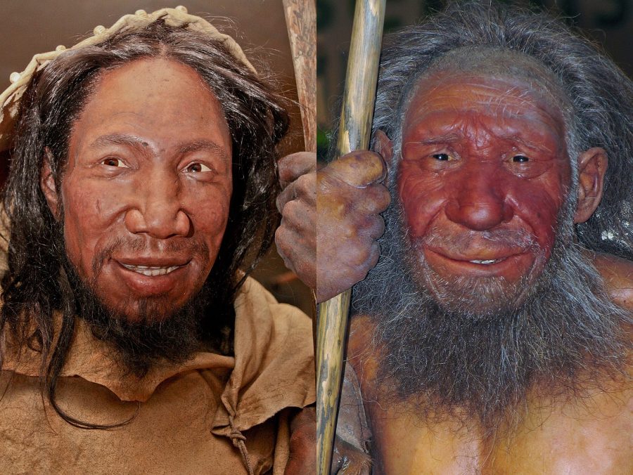Comparação entre o rosto de um humano (esquerda) e um neandertal. (Daniela Hitzemann / Stefan Scheer / Wikimedia)