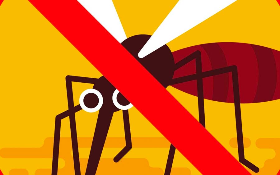É hora de nos preocuparmos com o mosquito da dengue