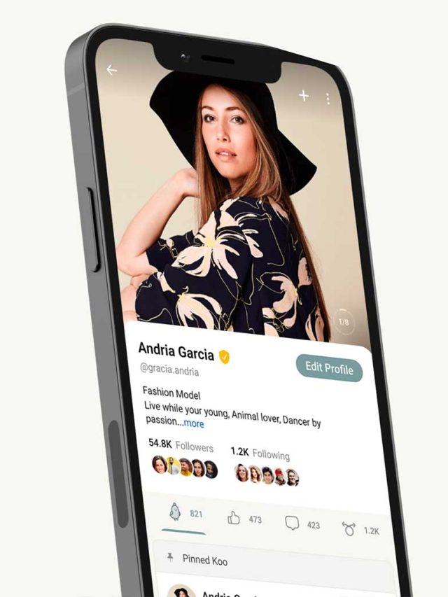 Brasileiros estão trocando o Twitter pelo Koo