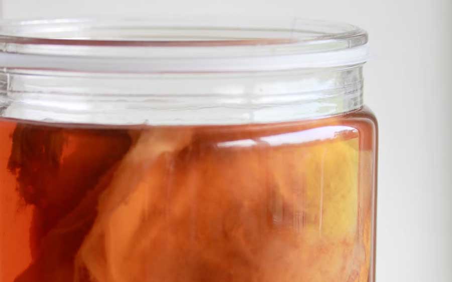 Kombucha, um probiótico (produto com microrganismos vivos) que, além do sabor, promete trazer benefícios à saúde