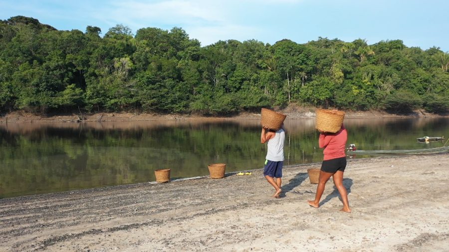 Alguns produtores lavam o guaraná no rio - Divulgação/TV Brasil
