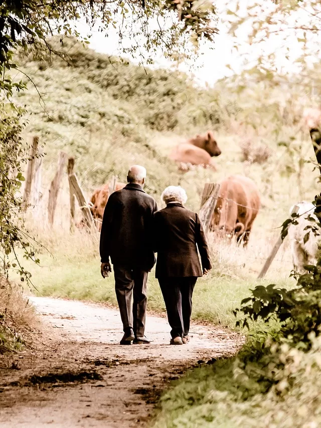 Qual é o dia nacional do agricultor? Hoje é o Dia do Agricultor