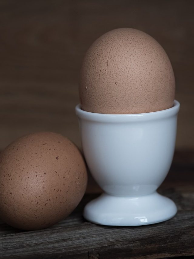 Capital nacional do ovo: maior produtor de ovo do Brasil