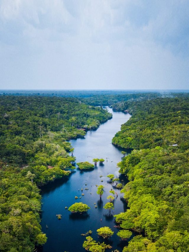 Ibama: conheça o novo presidente Rodrigo Agostinho