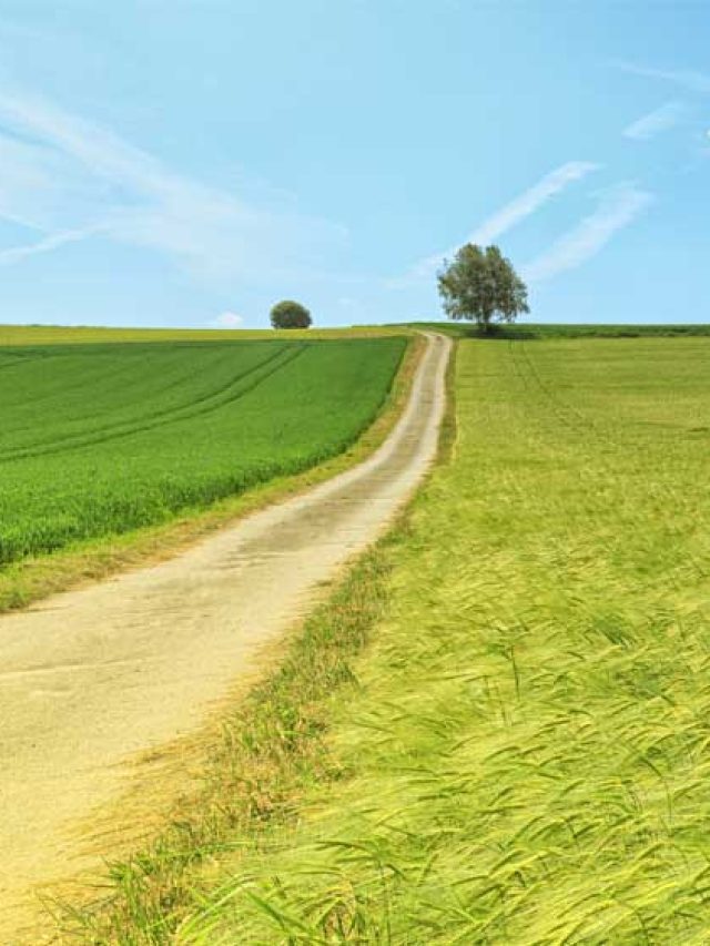 Resumo do que é a reforma agrária no Brasil