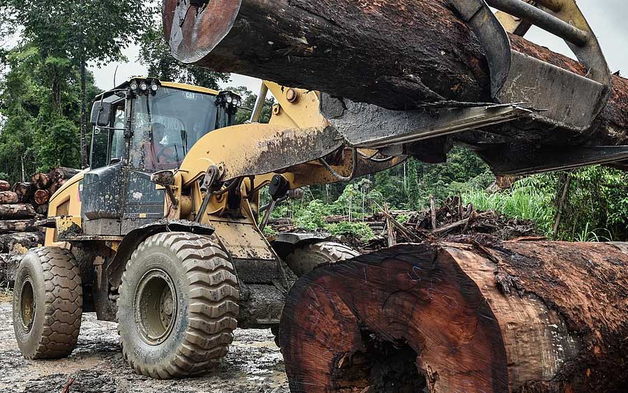 É possível acabar com o desmatamento no Brasil?