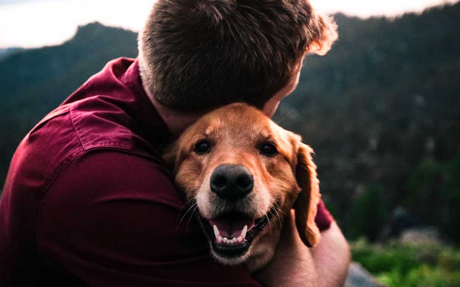 A perda de um animal de estimação é uma experiência difícil e pode ser um momento de muita dor e tristeza