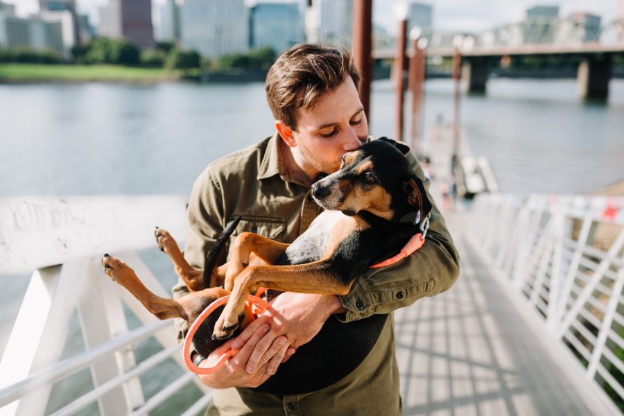 Os deputados protocolaram um projeto de lei que concede o direito à licença do trabalho para quem perder um animal de estimação. Caso seja aprovado, trabalhadores que passarem por essa situação poderão ter um dia de folga do trabalho para lidar com o luto e resolver questões práticas relacionadas à perda do seu pet.