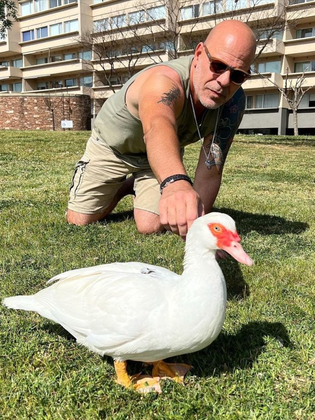 Bruce Willis com demência frontotemporal e afasia? Conheça a doença