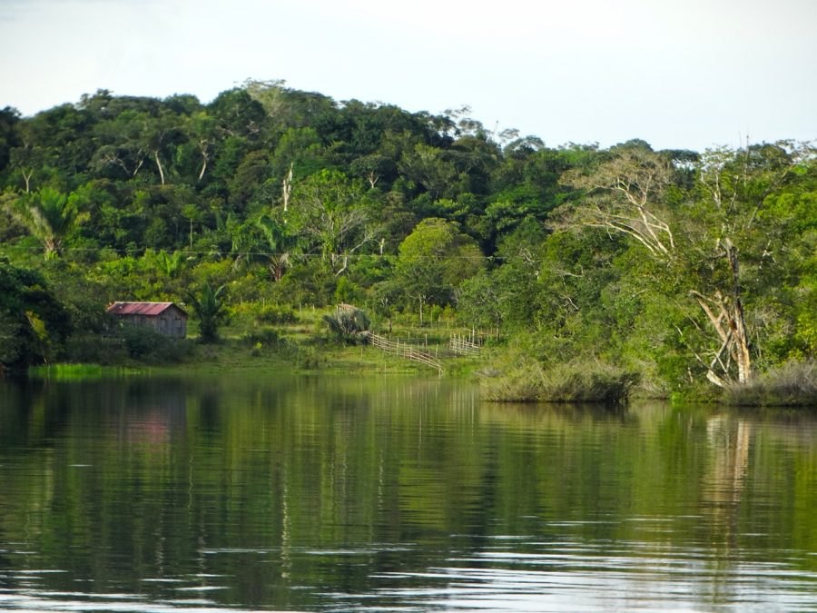 De acordo com o Instituto Nacional de Pesquisas Espaciais (Inpe), o desmatamento atingiu níveis alarmantes na Amazônia e no Cerrado em fevereiro deste ano.