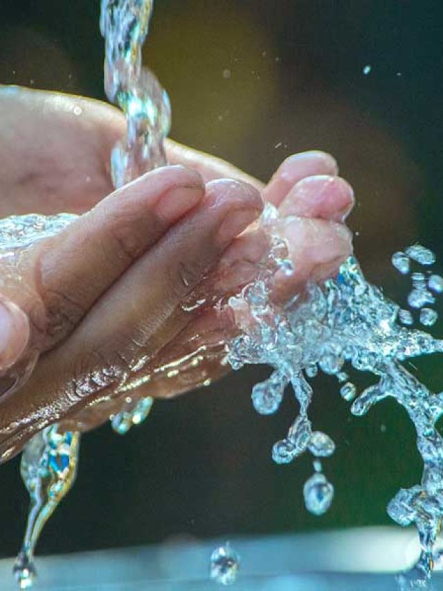 Dia Mundial da Água 2023: conscientização é importante