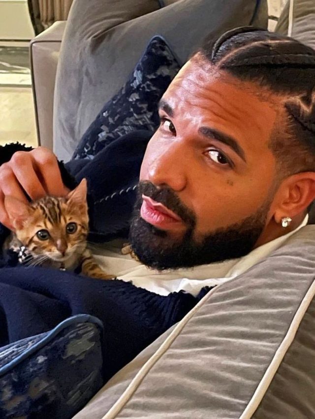 Lollapalooza 2023: Drake cancela show no Brasil