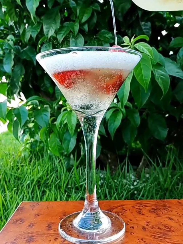 Kombucha vira negócio lucratio para bióloga de Rondônia