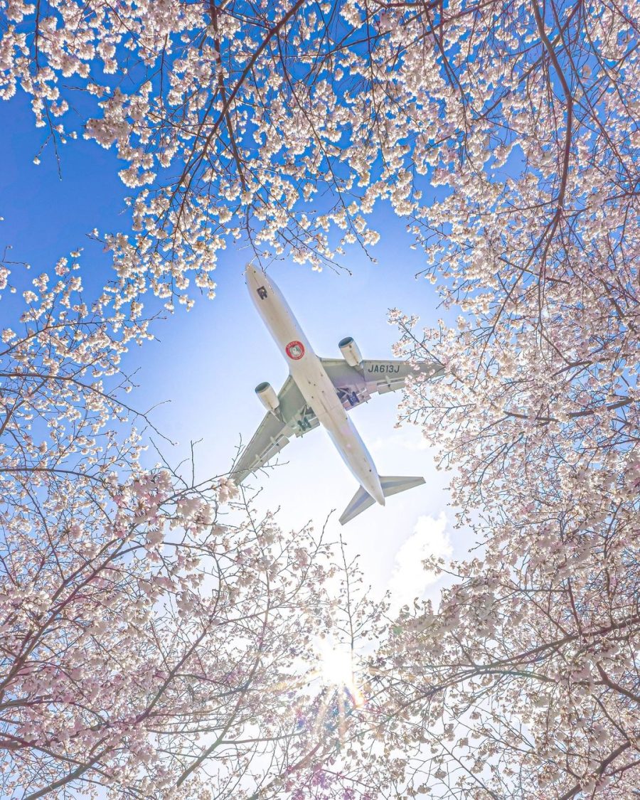 A Japan Airlines é a companhia aérea nacional do Japão, sediada em Shinagawa, Tóquio. Seus principais hubs são o Aeroporto Internacional de Narita e o Aeroporto de Haneda em Tóquio, além do Aeroporto Internacional de Kansai e do Aeroporto Internacional de Osaka.