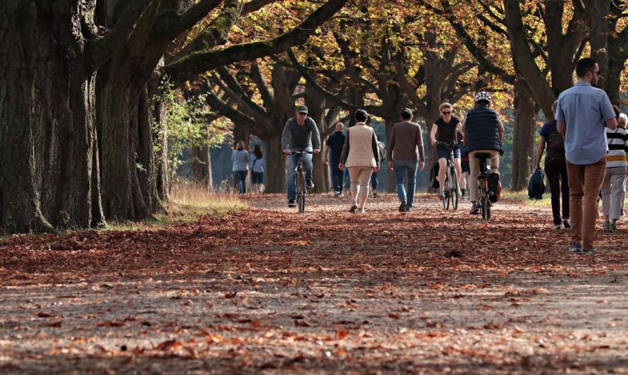 O outono de 2023 tem início às 18h25 (horário de Brasília) desta segunda-feira (20). A estação é marcada por temperaturas mais amenas e, neste período, as chuvas são mais escassas no interior do Brasil, especialmente, no semiárido nordestino.
