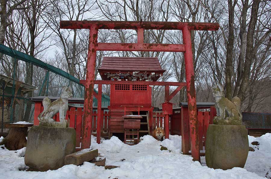 Santuário em Zao Fox Village (Piccolist)