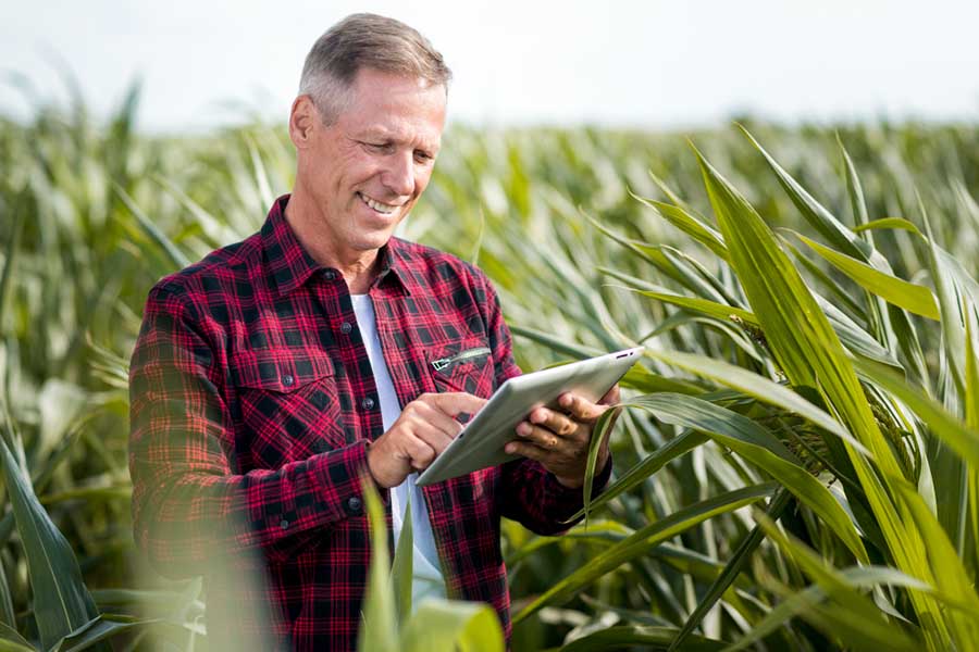 Invista em tecnologia e inovação: o agronegócio é um setor que está em constante evolução tecnológica, então, é fundamental estar atualizado e investir em tecnologias que possam otimizar o processo produtivo.