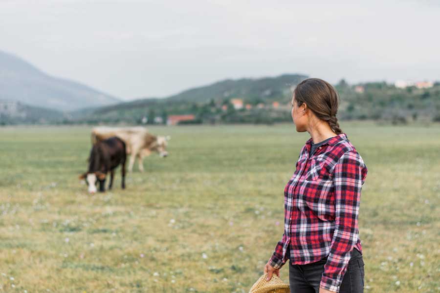 O Seguro Pecuário cobre danos diretos e indiretos a animais destinados ao consumo ou produção, abrangendo cria, recria, engorda e trabalho, como sela, tração e transporte em fazendas.