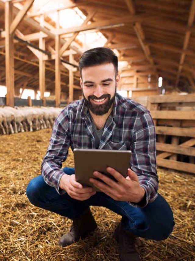 7 dicas de como ter uma renda extra confiável