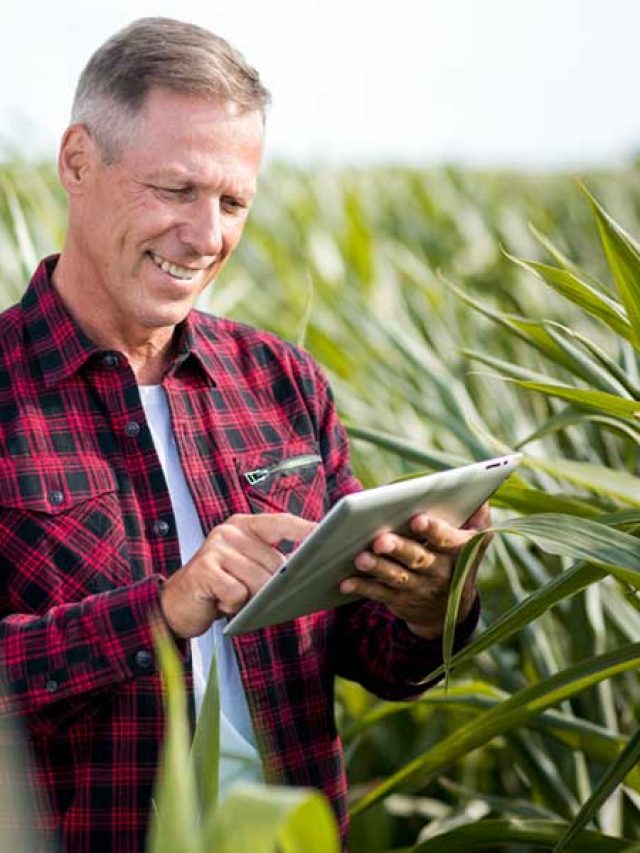 Vale a pena investir no agronegócio com pouco dinheiro?
