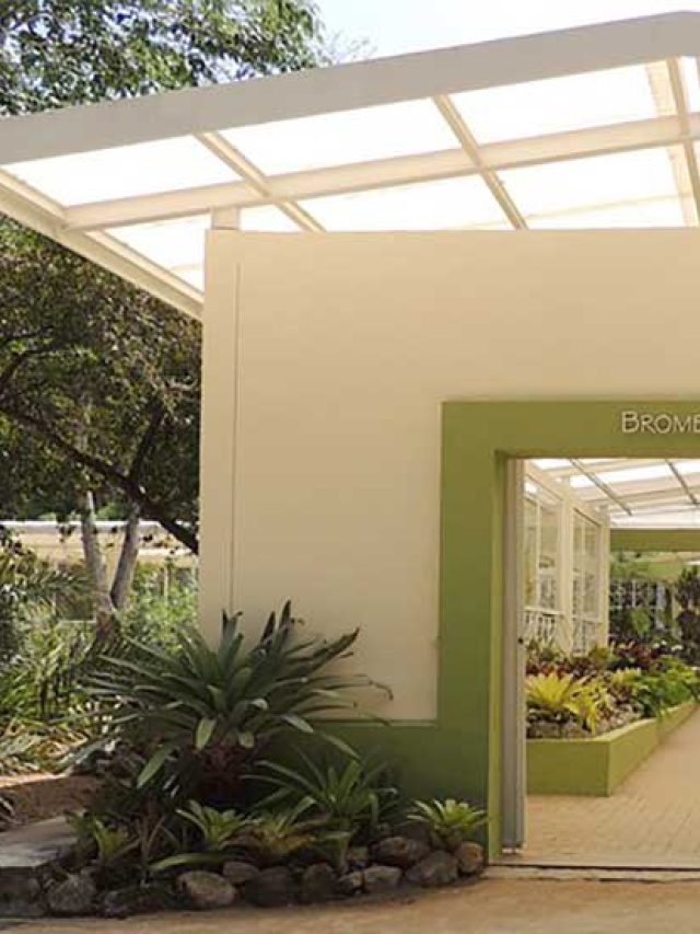 Jardim Botânico RJ: horário agora inclui Bromeliário