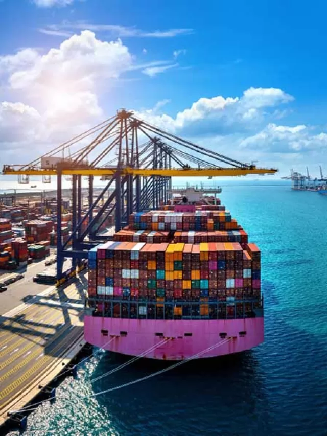 Licença Flex: nova licença flexível deve facilitar comércio exterior