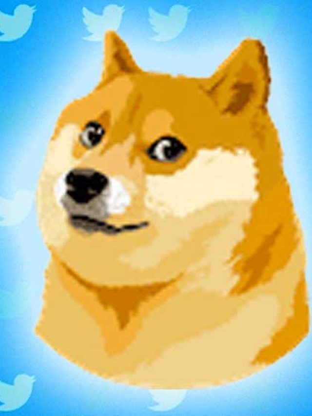 Logo do Twitter é trocado por cachorro da Dogecoin