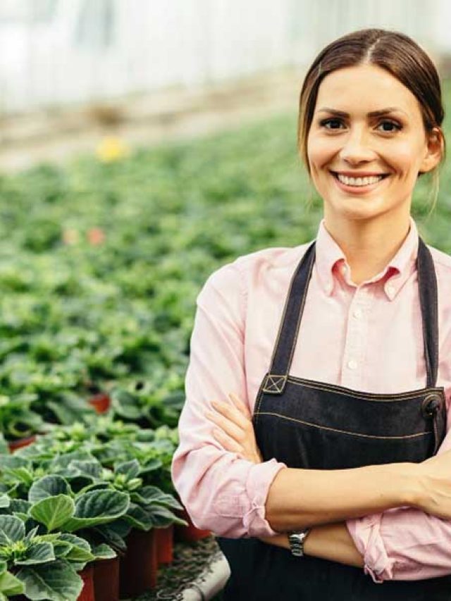 Saiba quais são os tipos de Seguro Rural no Brasil