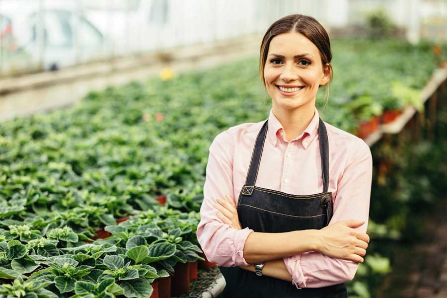 O trabalho do agricultor é árduo e desafiador. Desde o amanhecer até o anoitecer, eles enfrentam as intempéries do tempo, lutam contra pragas e doenças, e trabalham incansavelmente para cultivar a terra