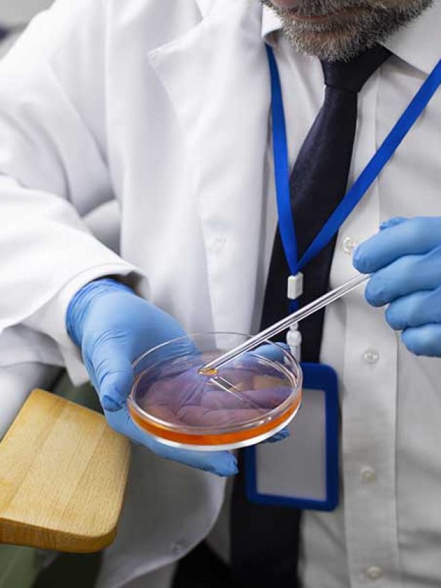 Carne de laboratório? Fatos para entender o que é a proteína cultivada