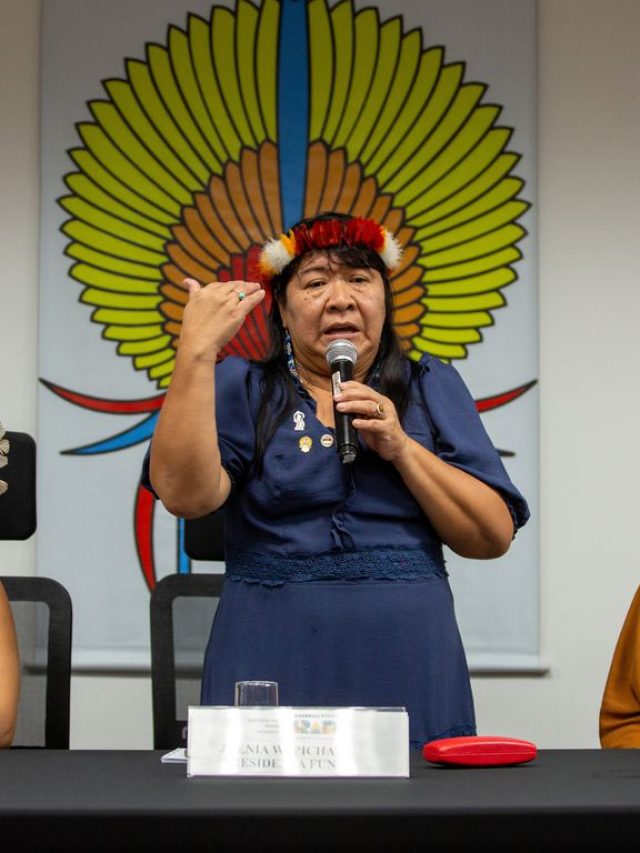 Resumo Marco temporal: lei tem muitos argumentos a favor da PL 490