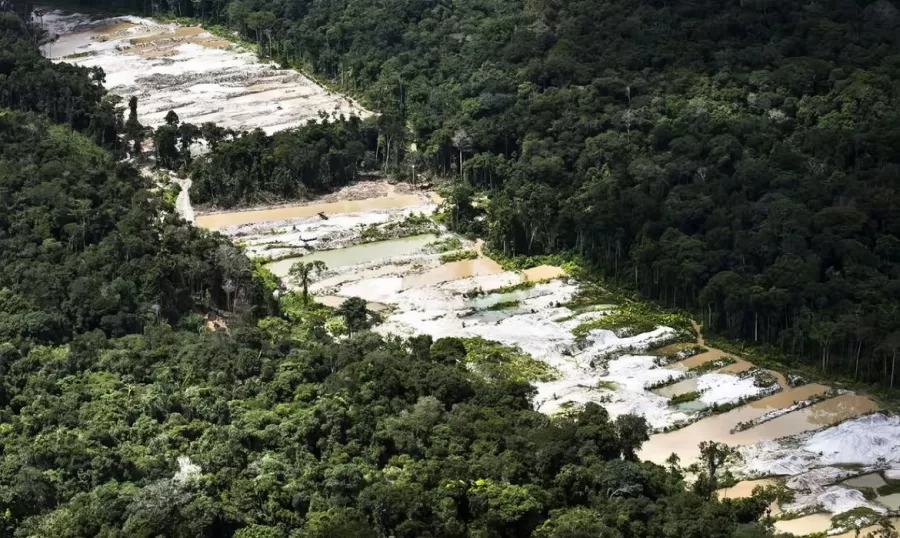 Operação da PF, PRF e Força Nacional teve duração de 17 dias (Daniel Beltrá/ Greenpeace/ Divulgação)