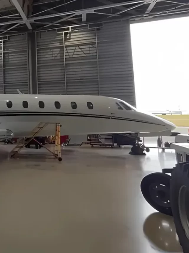 Sheik dos Bitcoins: Avião de Wesley Safadão vai a leilão