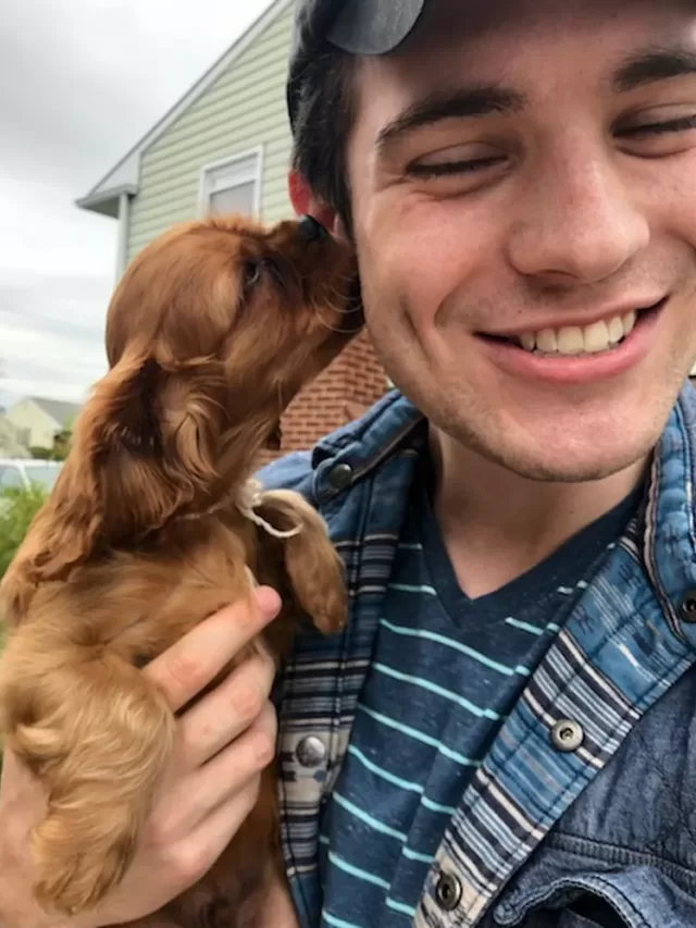 David Corenswet é Superman em novo filme; Rachel Brosnahan é Lois Lane