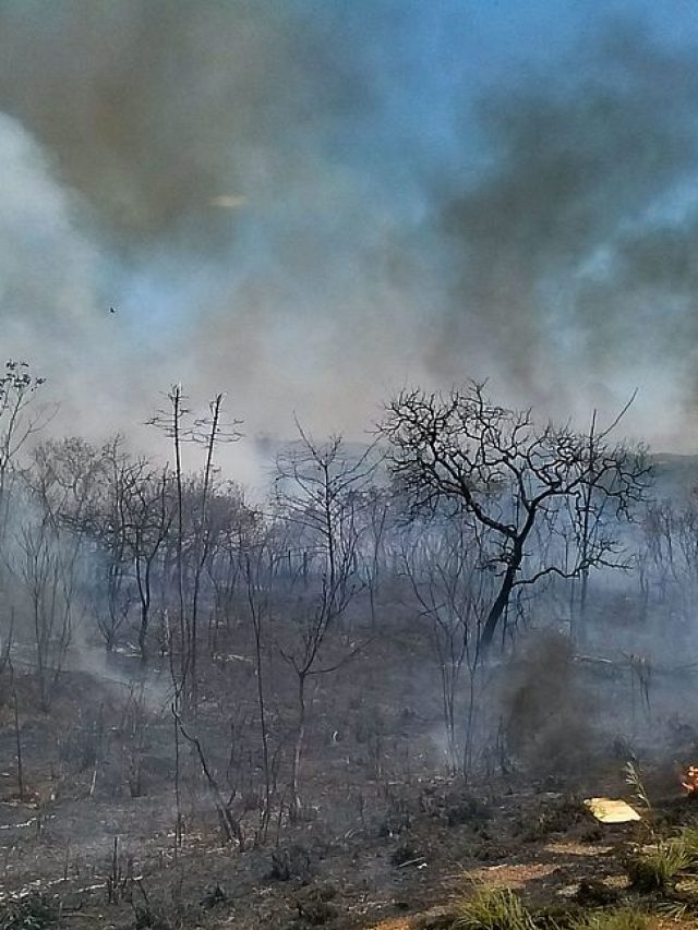 O que significa o fenômeno El Niño? Veja como é no Brasil