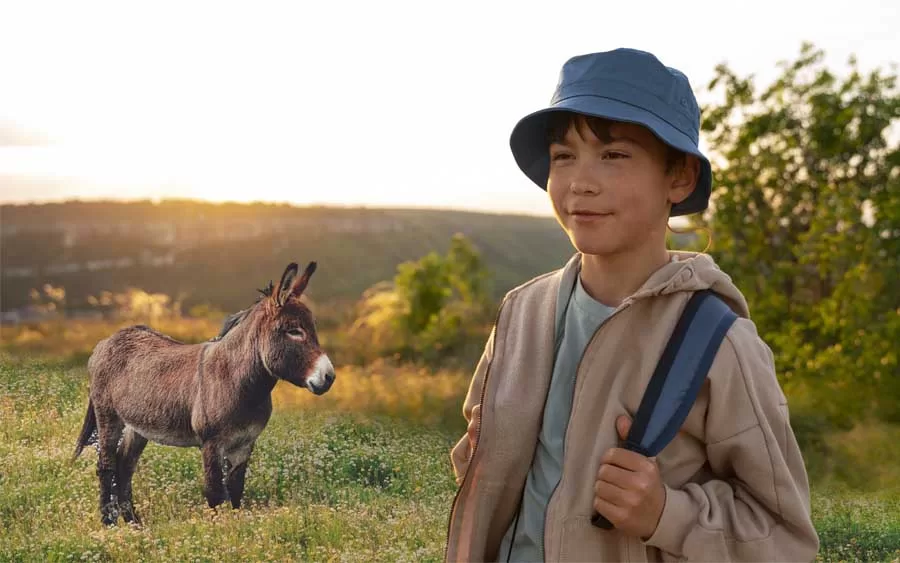 O menino quer um burrinho