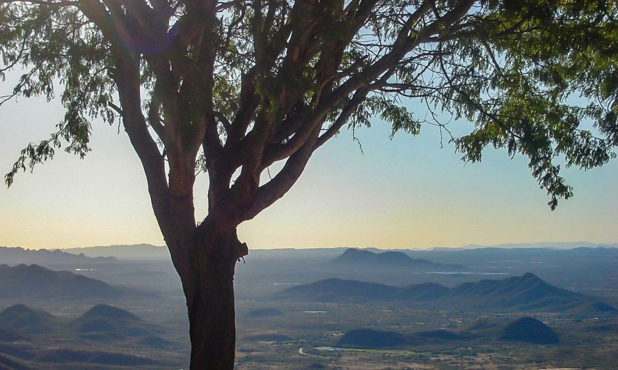 Parque Nacional da Serra do Teixeira é o primeiro no estado da Paraíba