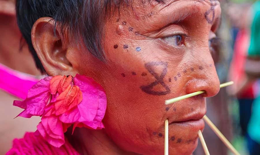 Ministério do Meio Ambiente cria grupo para monitorar ações ambientais no território Yanomami